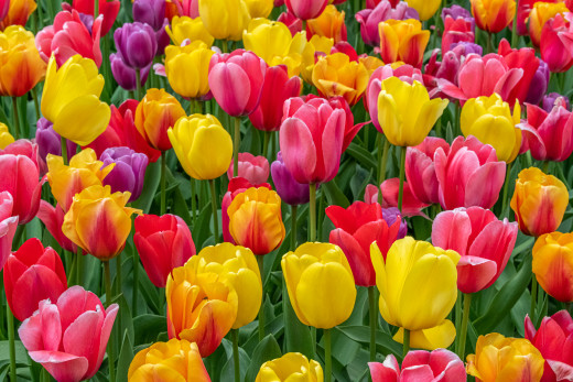 �1761798 �������(a): ����������:1920x1279